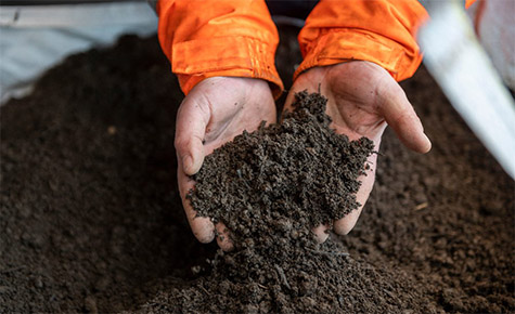  How to make compost?