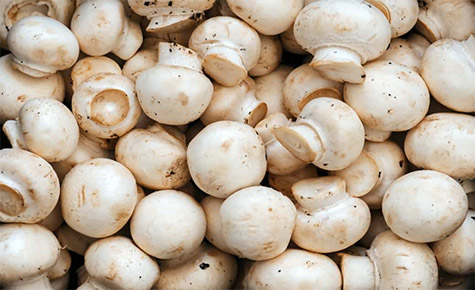 How to grow button mushrooms at home? (part 2)